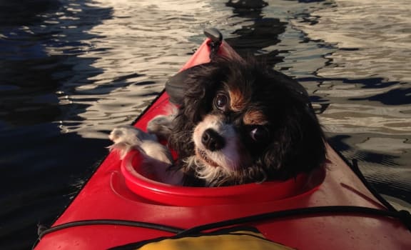 Belay Apartments | Apartments in Seattle, WA